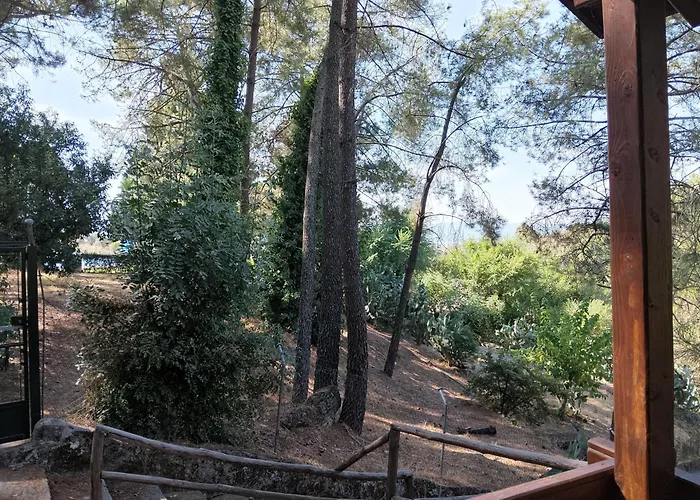 Camping La Eliza Lanzahita