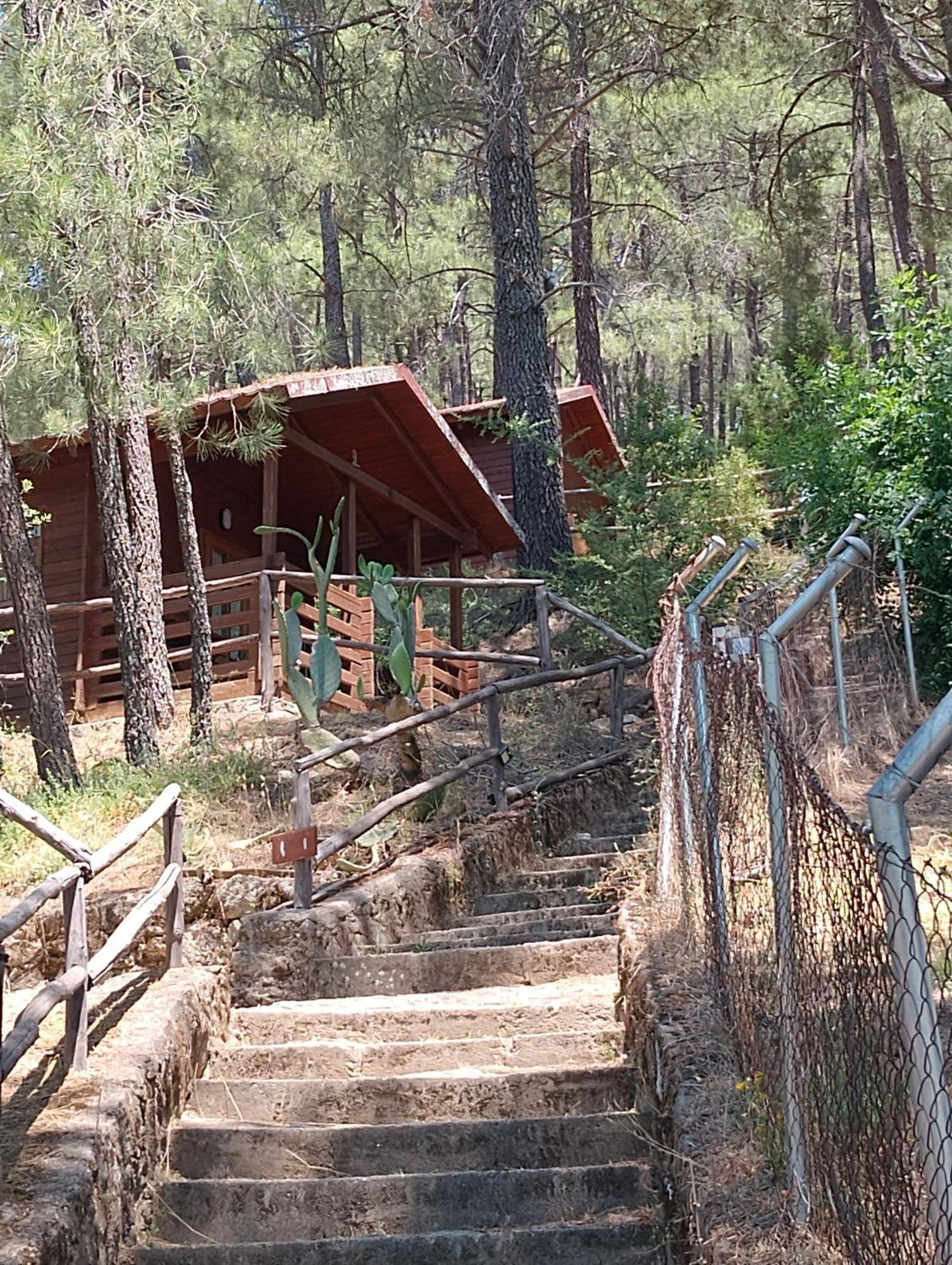La Eliza Campsite *